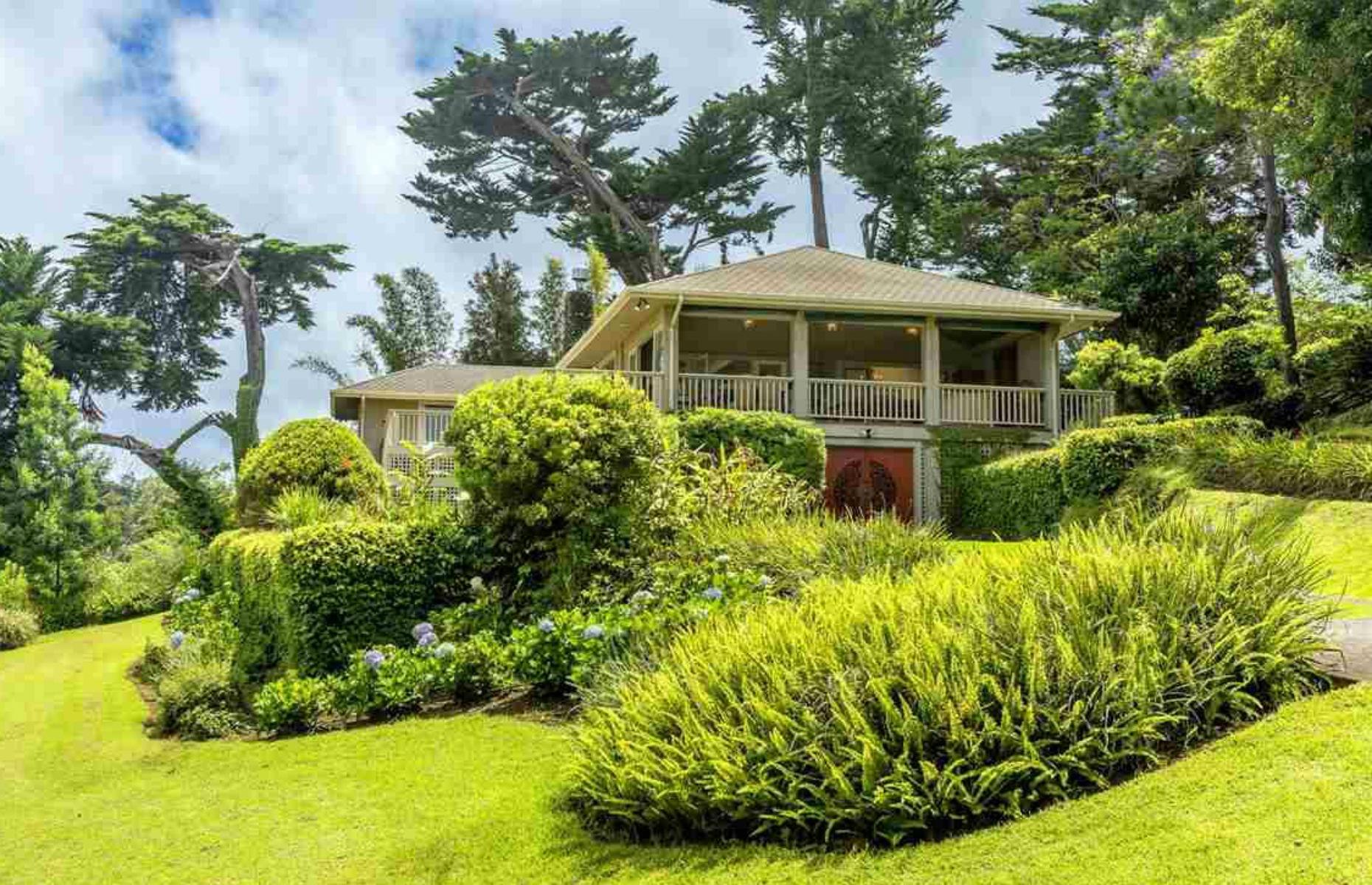 Hawaii: modern thatch 